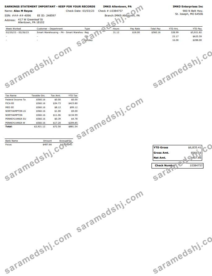 IMKO Enterprises Inc PayStub